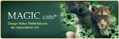 NEWS Magiccats Banner